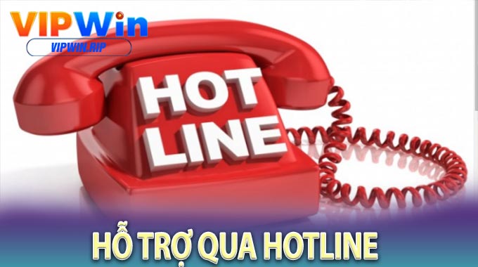 Hỗ Trợ Qua Hotline